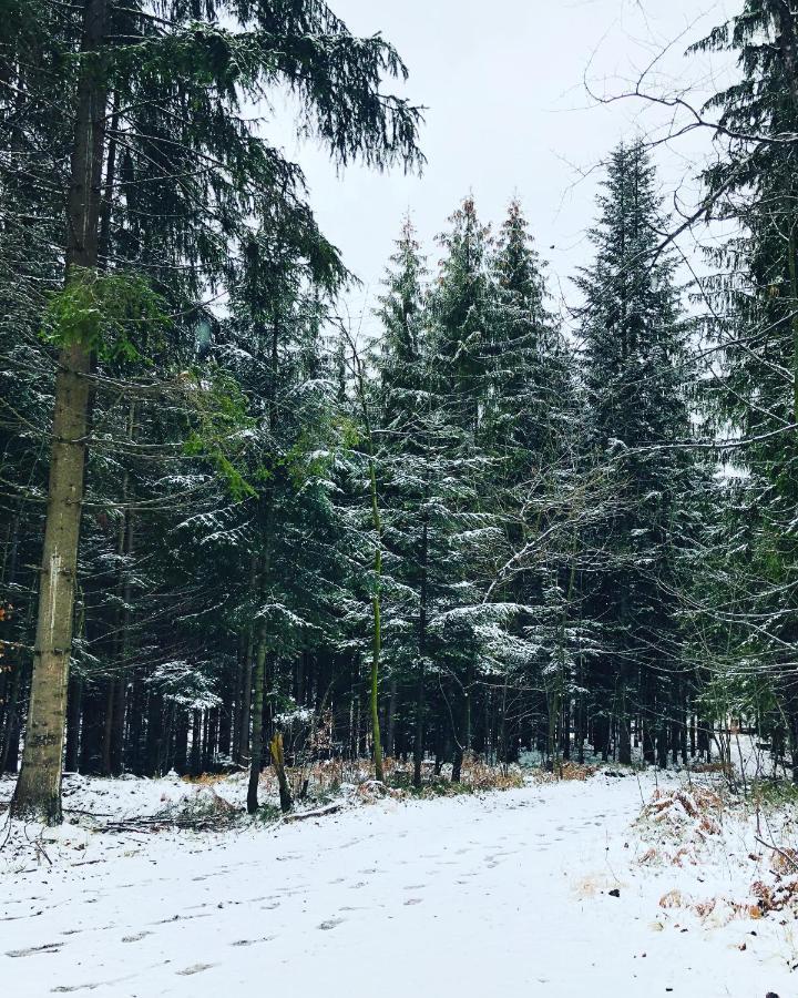 Beskid Wood Houses Jasnowice Exterior foto